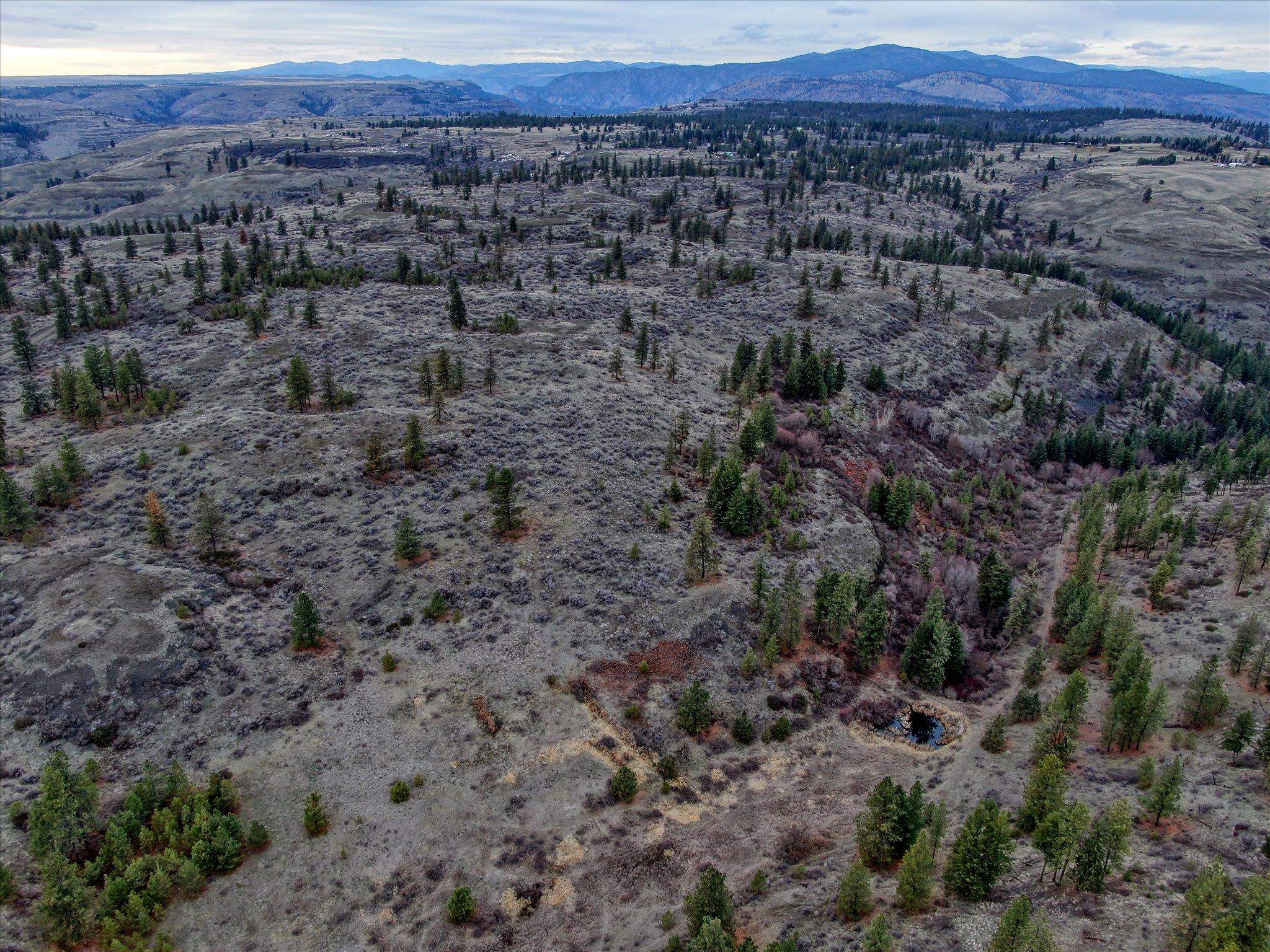 0 East Bachelor Prairie Road Creston, WA 99117 - Photo 8 of 20 Gallery Image 8