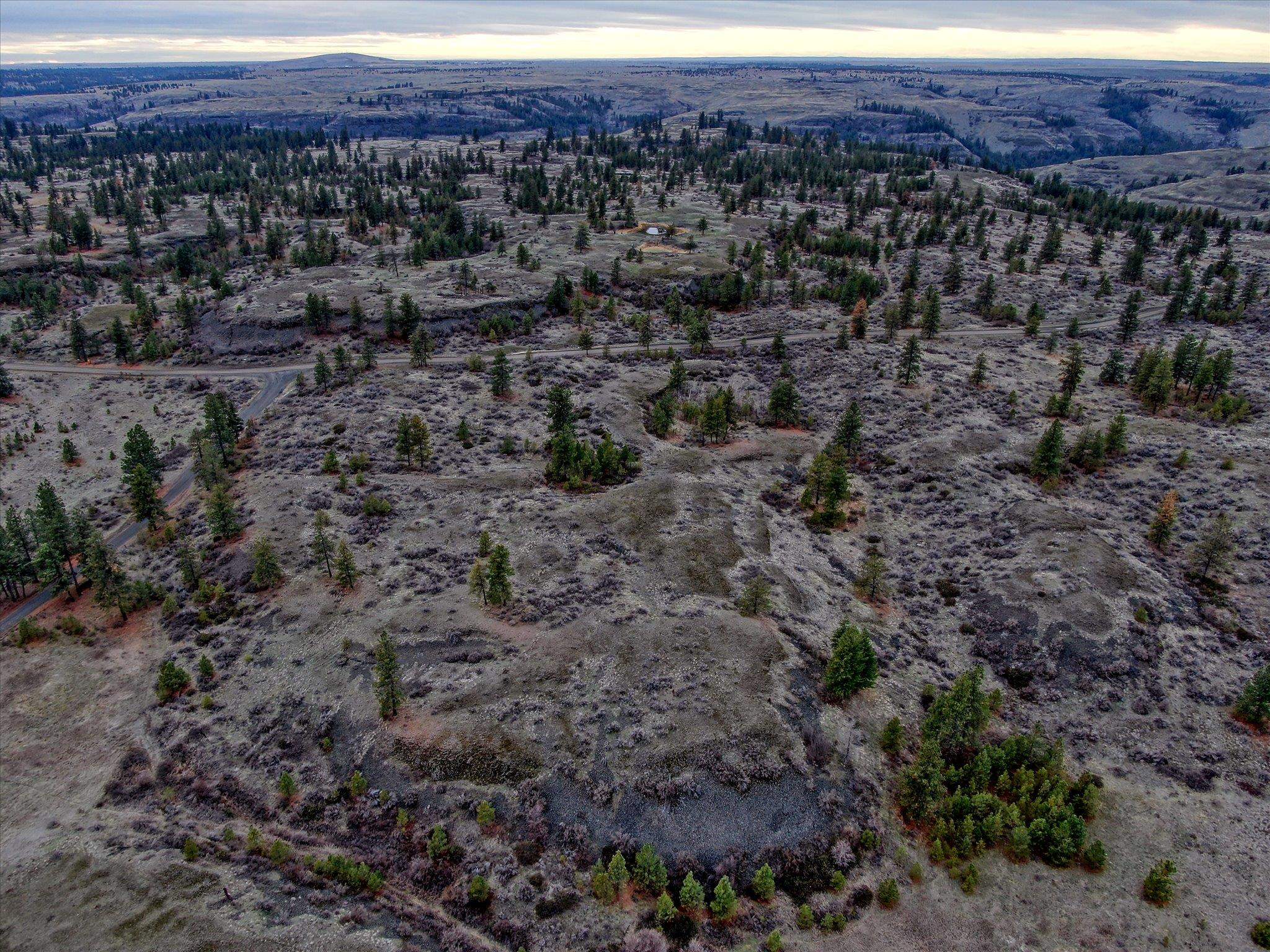 0 East Bachelor Prairie Road Creston, WA 99117 - Photo 9 of 20 Gallery Image 9