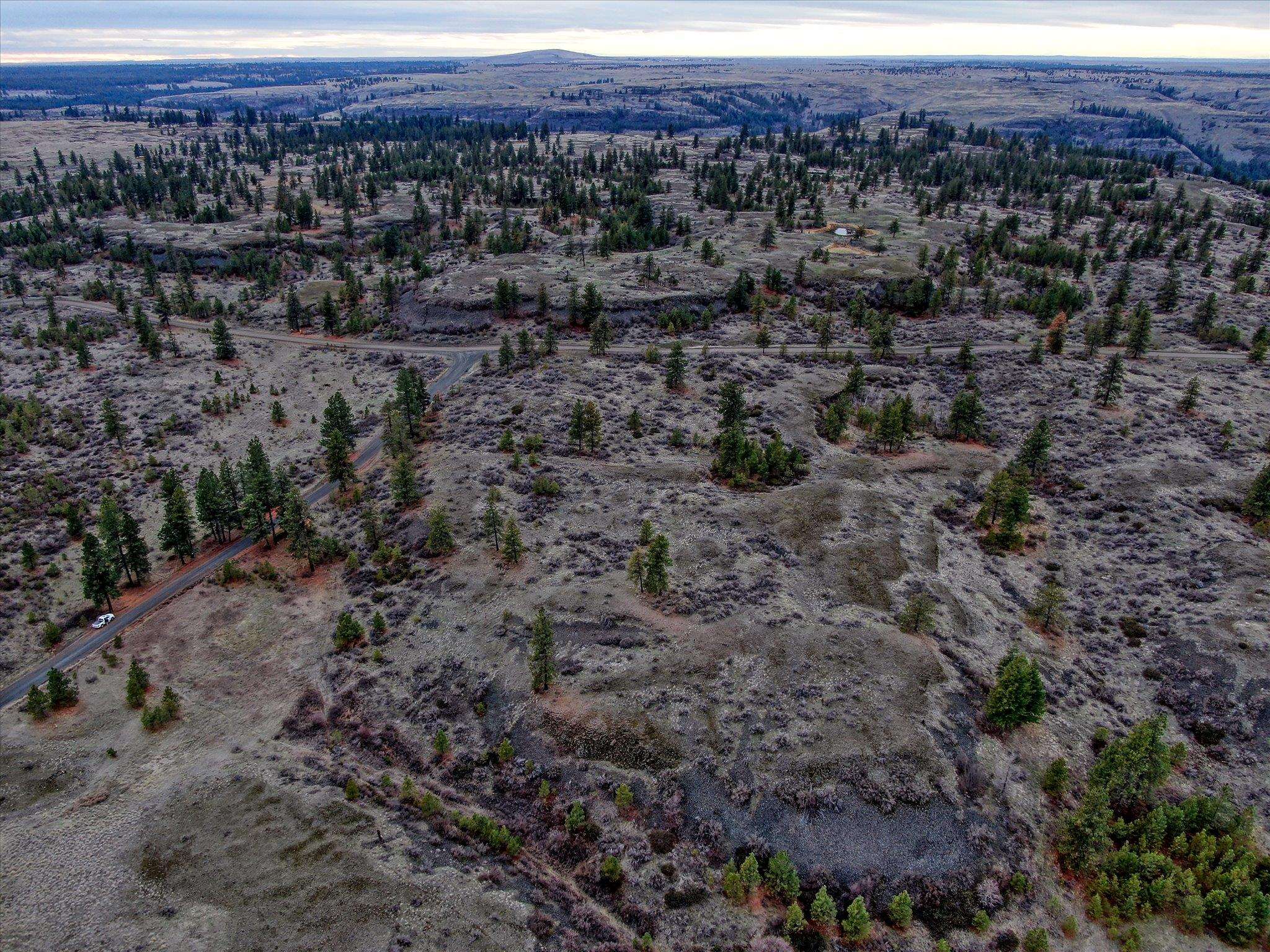 0 East Bachelor Prairie Road Creston, WA 99117 - Photo 10 of 20 Gallery Image 10