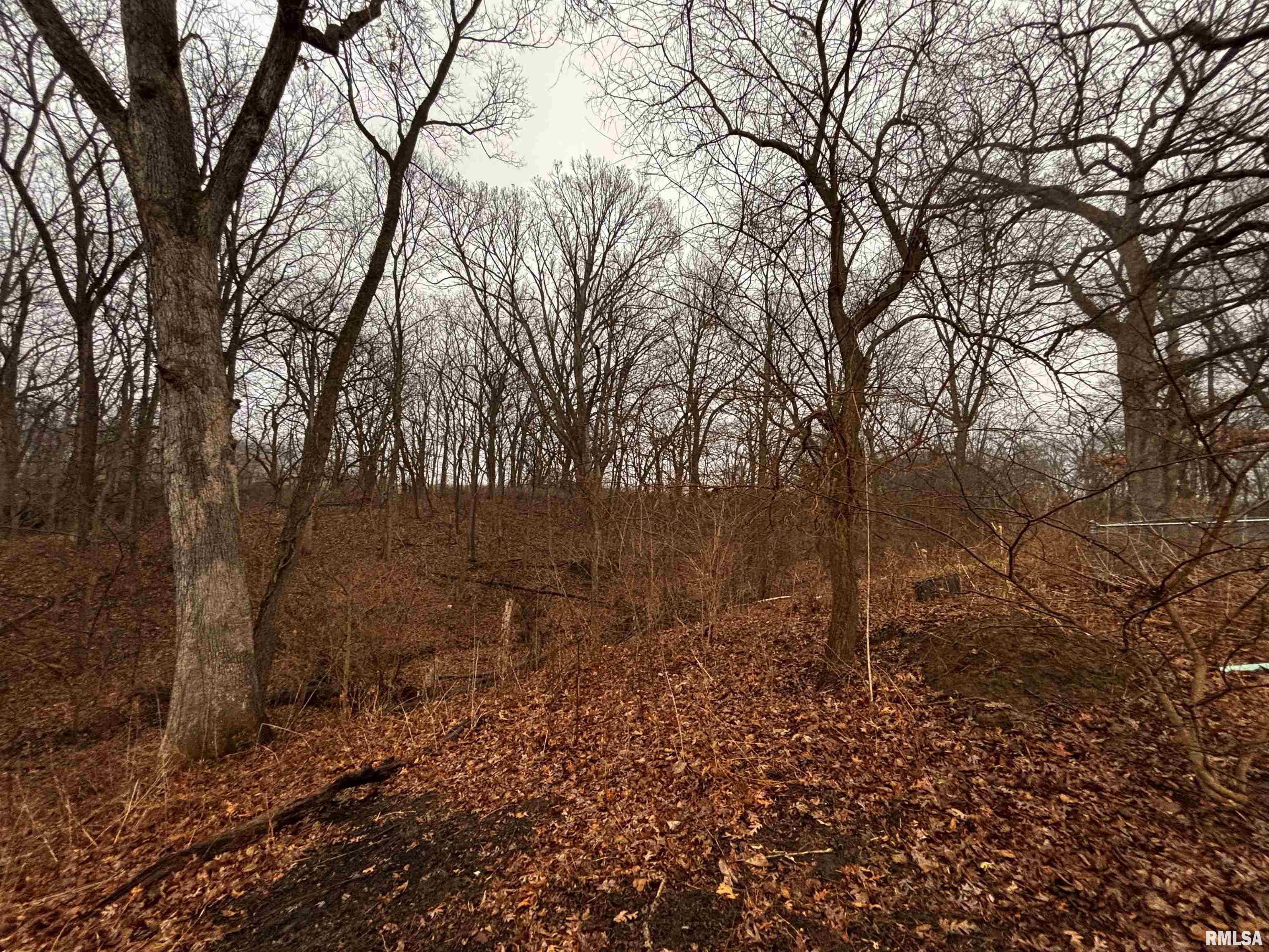 1125 Windcrest Road Galesburg, IL 61401 - Photo 18 of 18