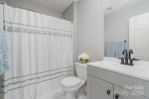 a bathroom with a sink a toilet and shower curtain