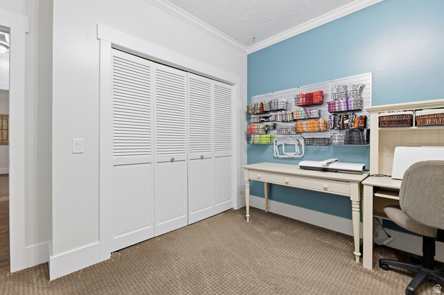 2342 Charros Road Sandy, UT 84092 - Photo 29 of 94 Louvered bi-fold closet doors with chrome hardware, crown molding, and light blue wall accents