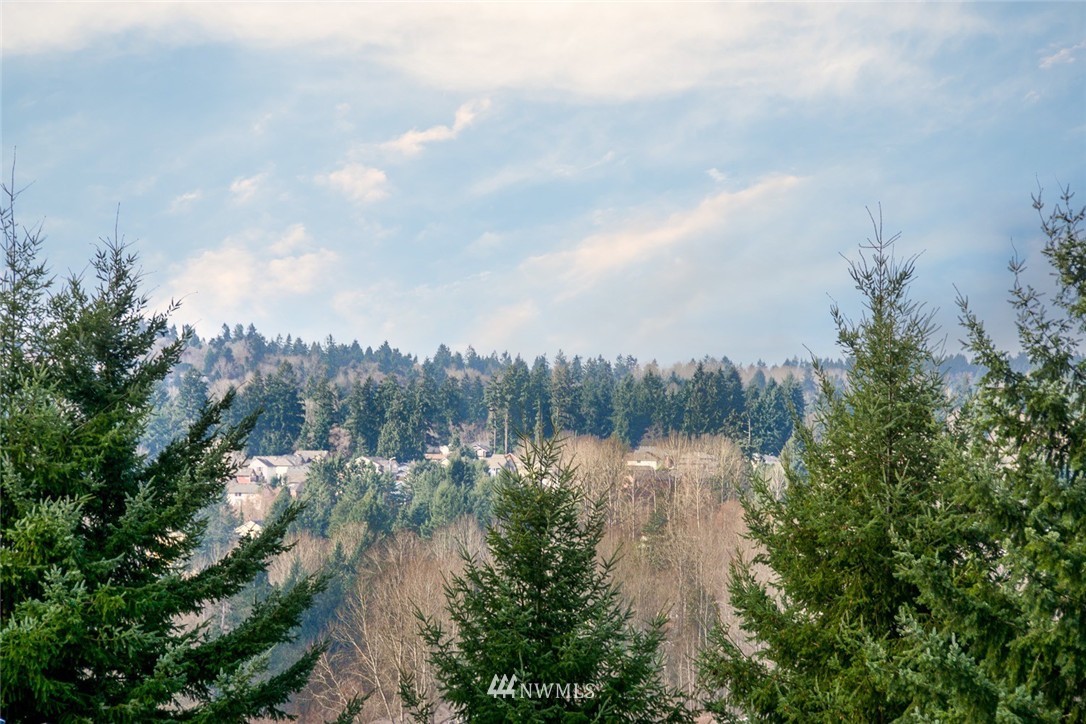 23605 7th Avenue West Bothell, WA 98021 - Photo 3 of 25