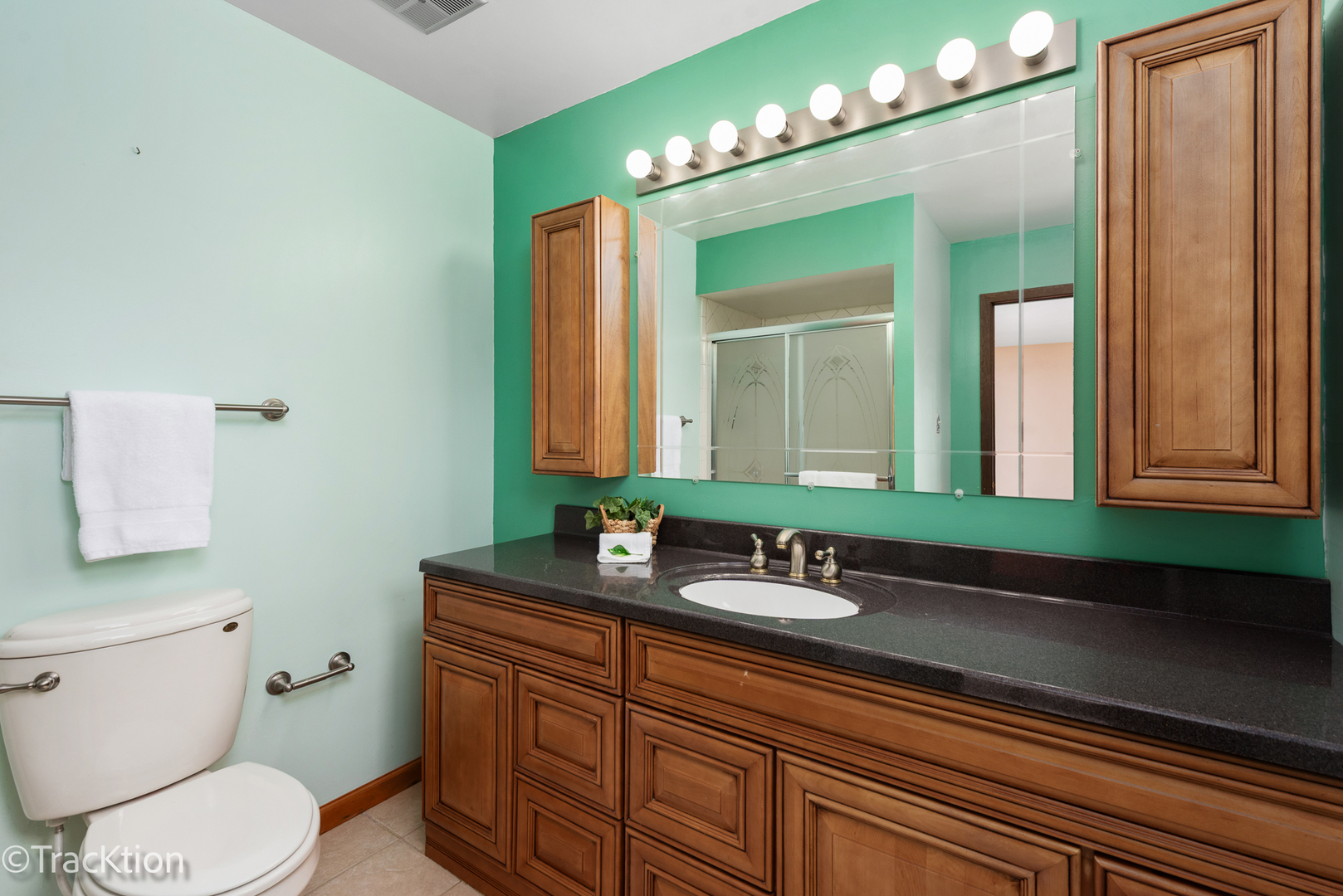 566 Cambridge Way Bolingbrook, IL 60440 - Photo 10 of 21