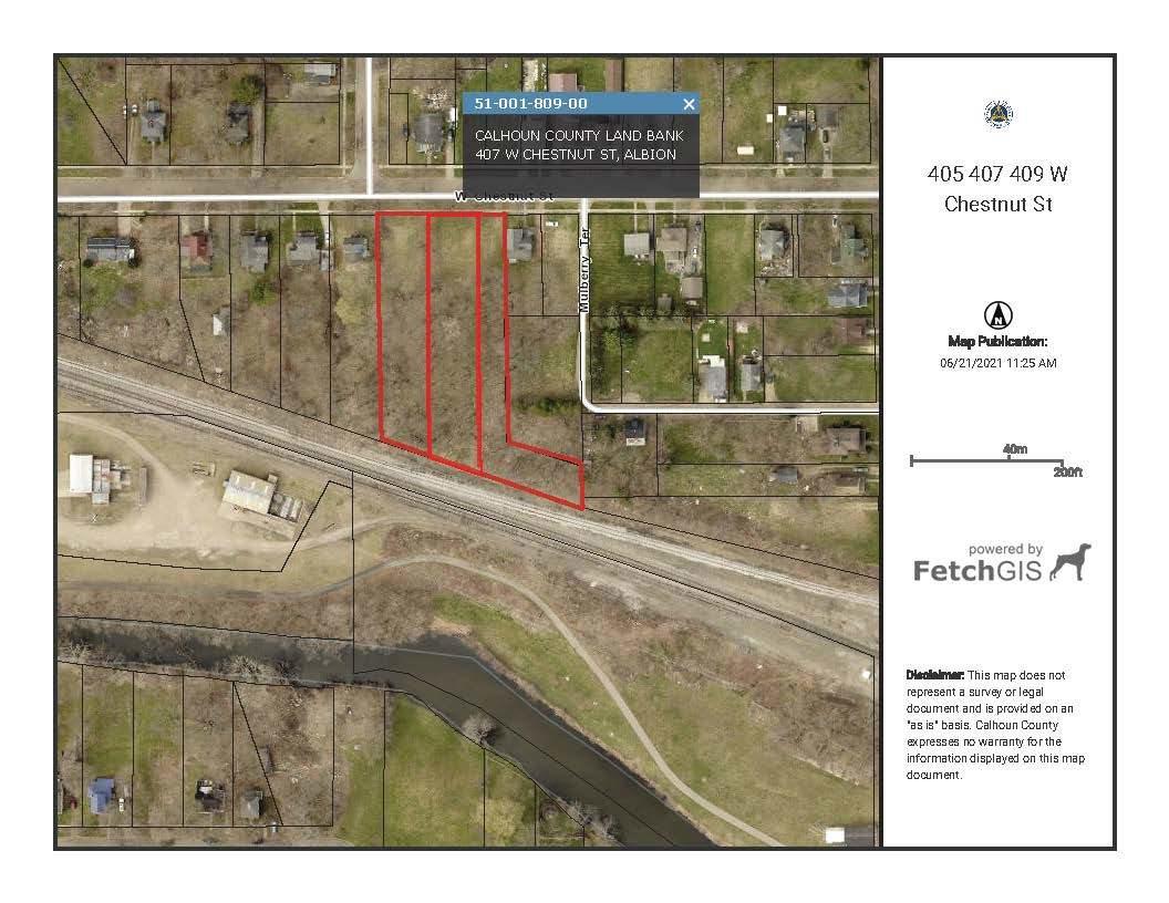 405 West Chestnut Street Albion, MI 49224 - Photo 1 of 2 GIS all three