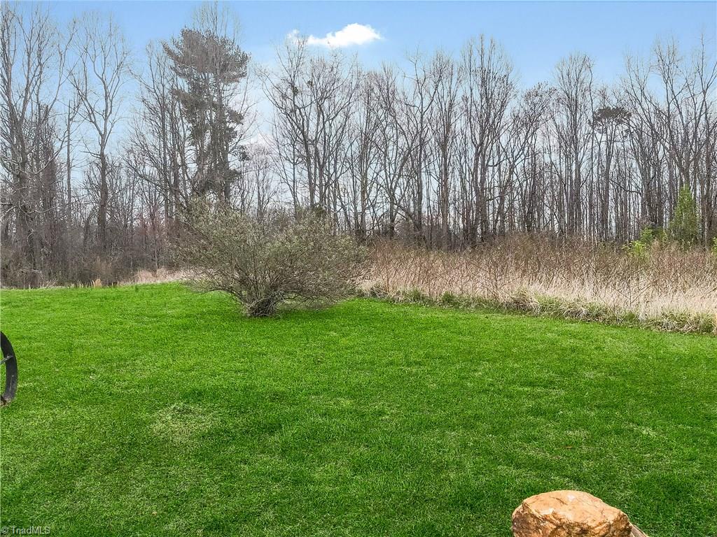 4193 Mining Ridge Church Road State Road, NC 28676 - Photo 4 of 4