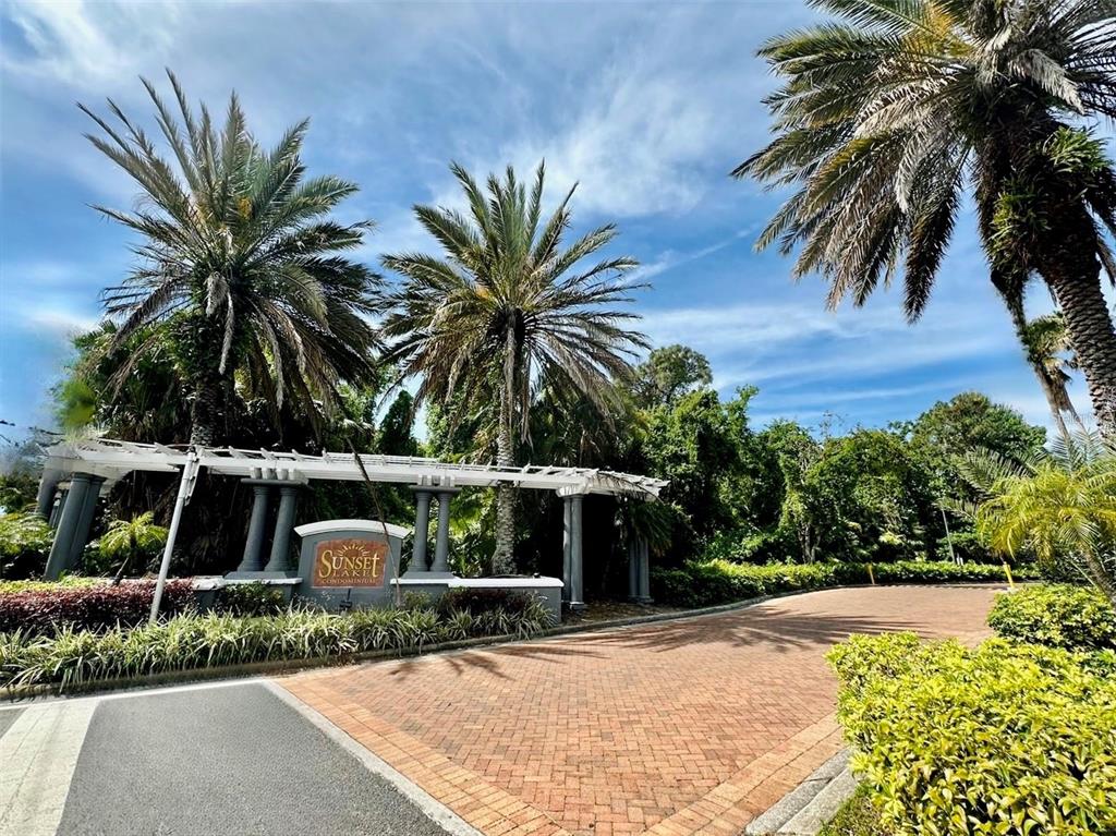 a view of a backyard with palm trees