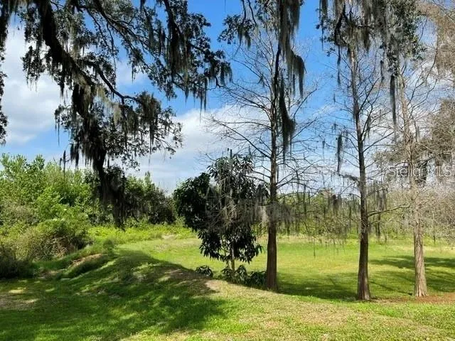 a view of a yard with a tree