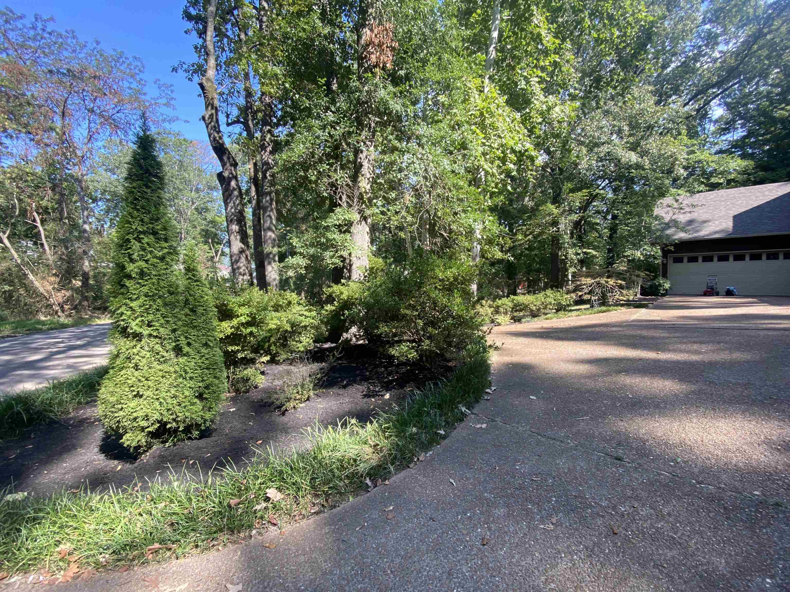 312 Old Jernigan Road Somerville, TN 38068 - Photo 3 of 38 Gallery Image 3