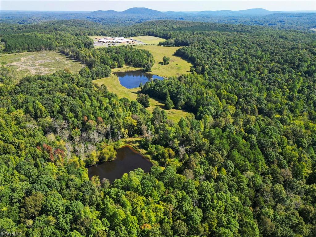 A Pleasant Union Road Trinity, NC 27370 - Photo 1 of 24 52+ acres with 2 beautiful ponds