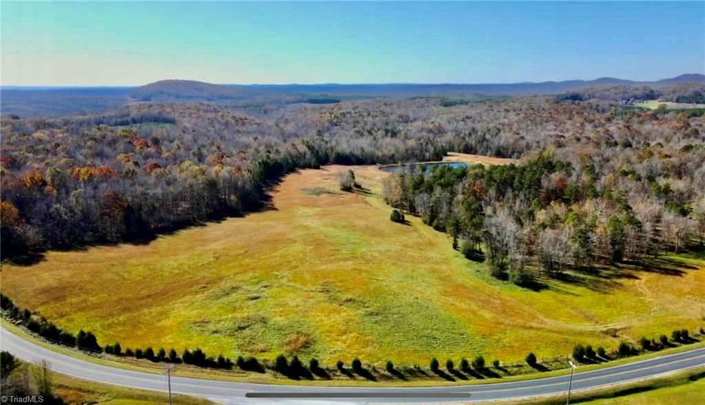 A Pleasant Union Road Trinity, NC 27370 - Photo 12 of 24 Established driving path