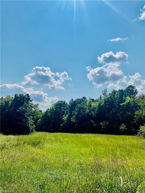 A Pleasant Union Road Trinity, NC 27370 - Photo 15 of 24 Close proximity to Uwharrie School