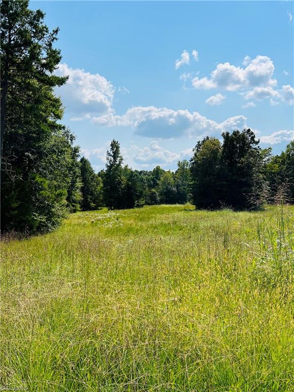 A Pleasant Union Road Trinity, NC 27370 - Photo 16 of 24 Back field