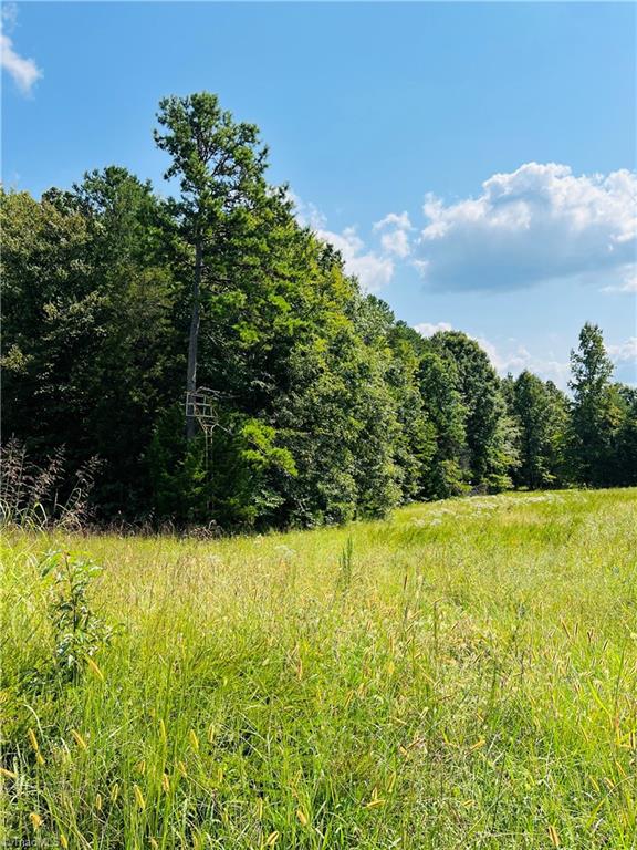 A Pleasant Union Road Trinity, NC 27370 - Photo 17 of 24