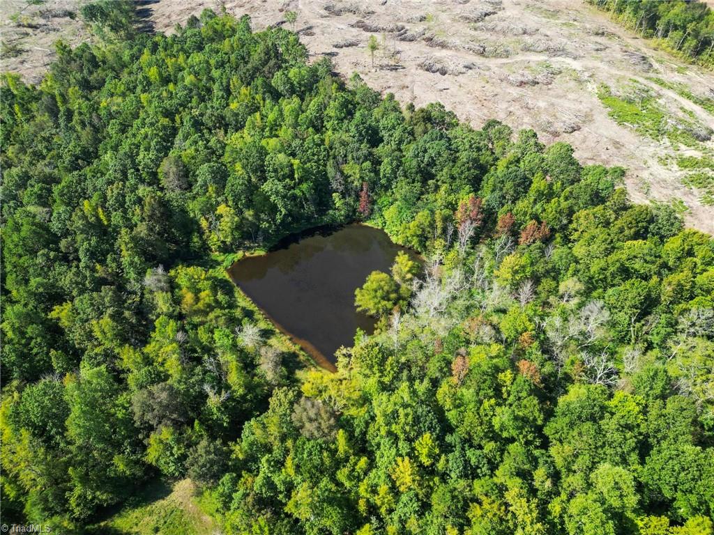 A Pleasant Union Road Trinity, NC 27370 - Photo 20 of 24