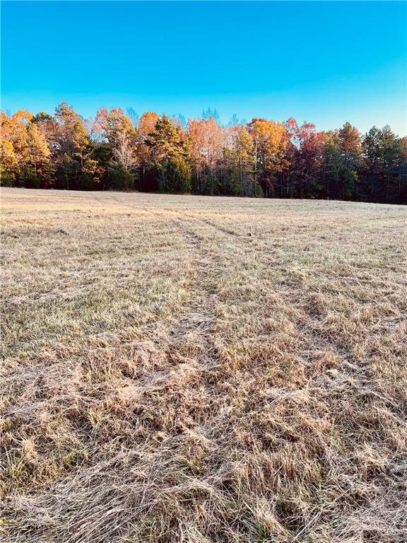 A Pleasant Union Road Trinity, NC 27370 - Photo 22 of 24