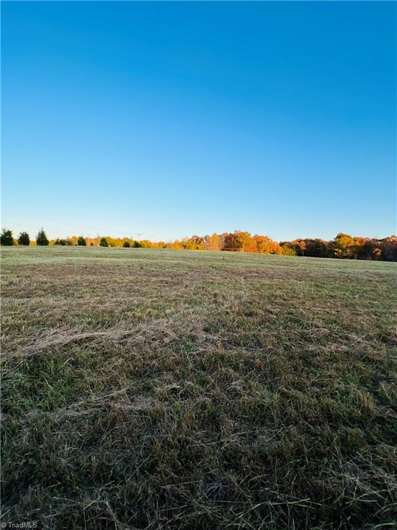 A Pleasant Union Road Trinity, NC 27370 - Photo 24 of 24