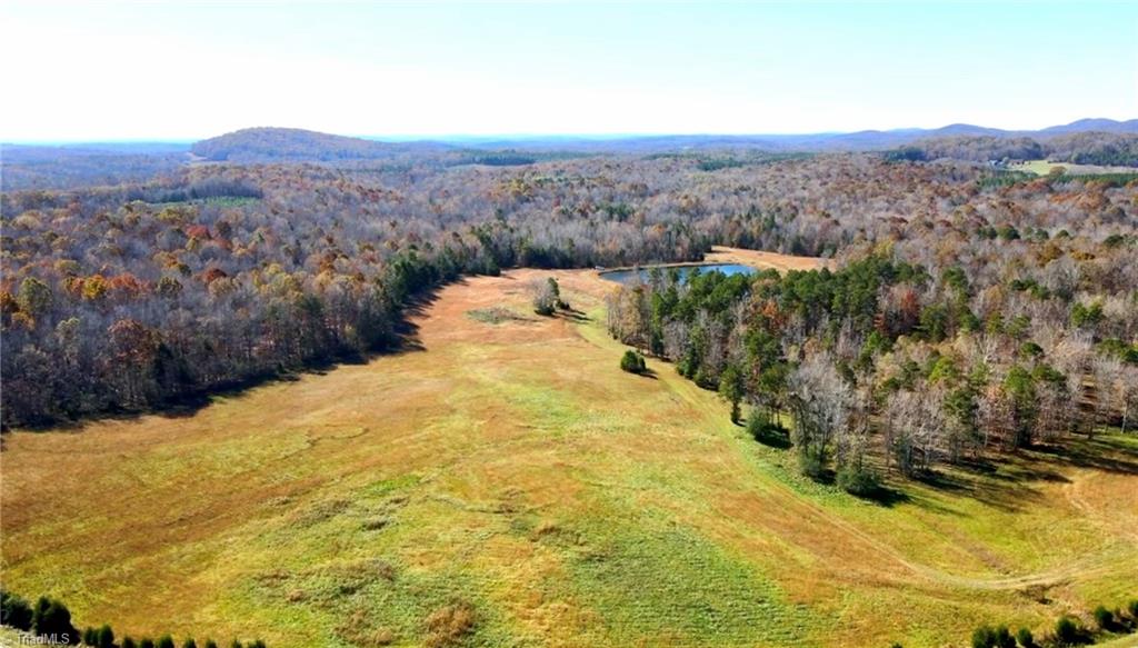 A Pleasant Union Road Trinity, NC 27370 - Photo 4 of 24 Established driving path that circles property