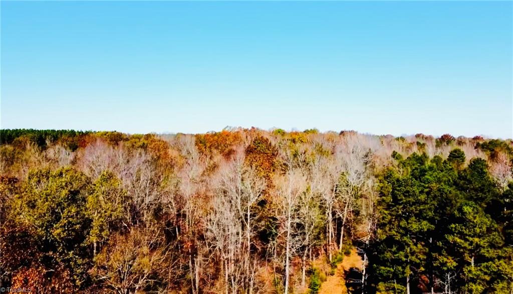 A Pleasant Union Road Trinity, NC 27370 - Photo 6 of 24 Recent NEW survey completed