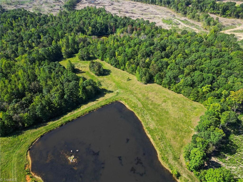 A Pleasant Union Road Trinity, NC 27370 - Photo 7 of 24 Established hardwood timber