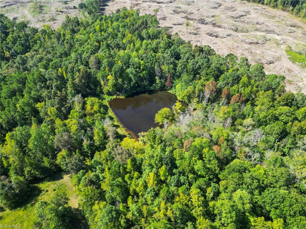 A Pleasant Union Road Trinity, NC 27370 - Photo 9 of 24 Relaxing pond