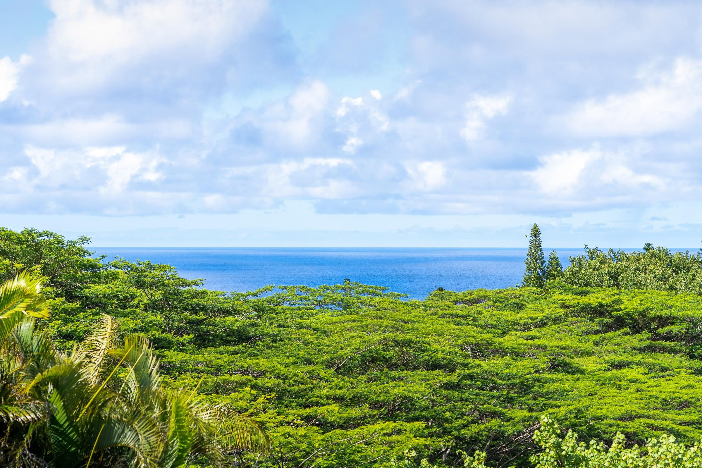 591 Ulalena Loop Haiku, HI 96708 - Photo 25 of 30