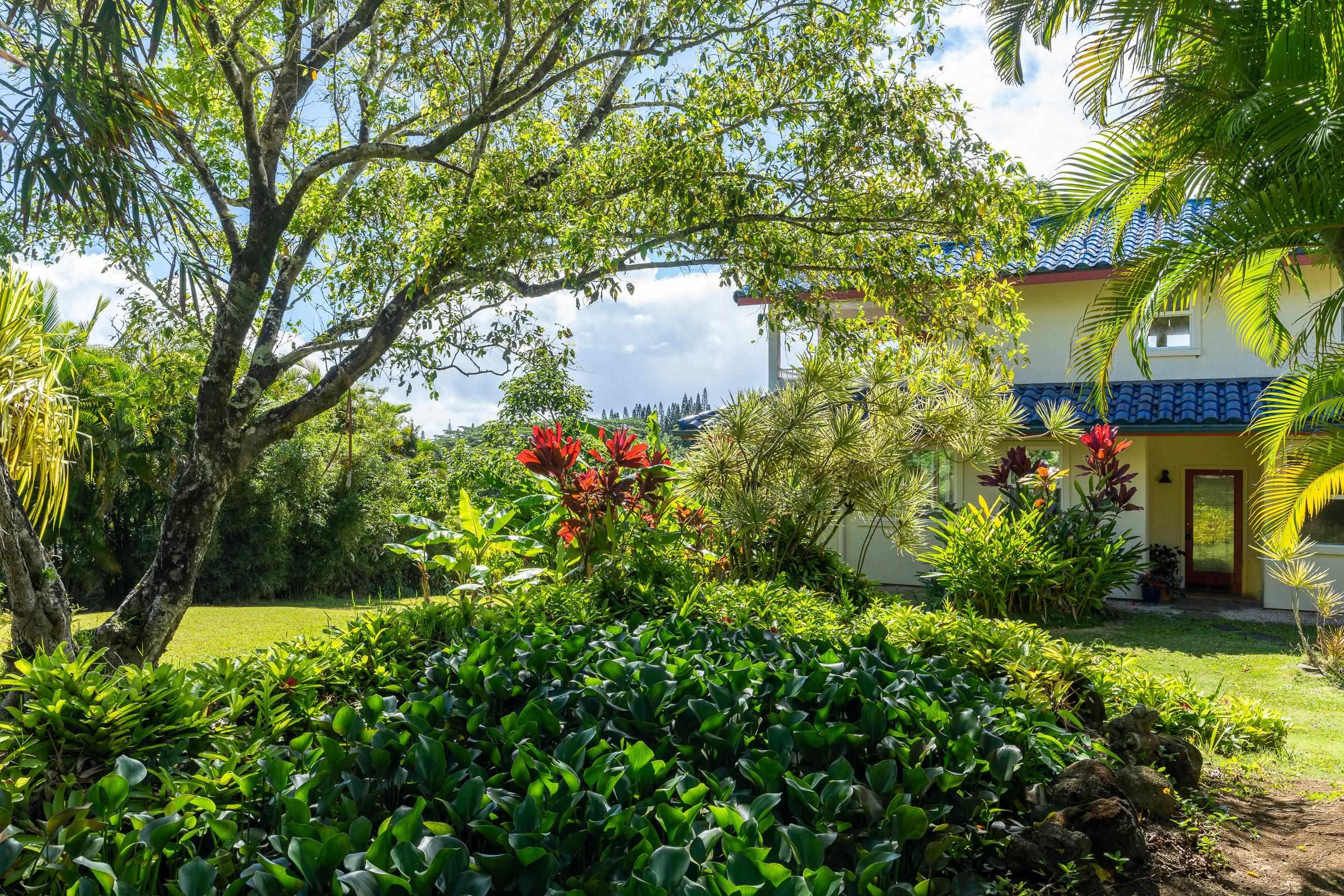 591 Ulalena Loop Haiku, HI 96708 - Photo 30 of 30