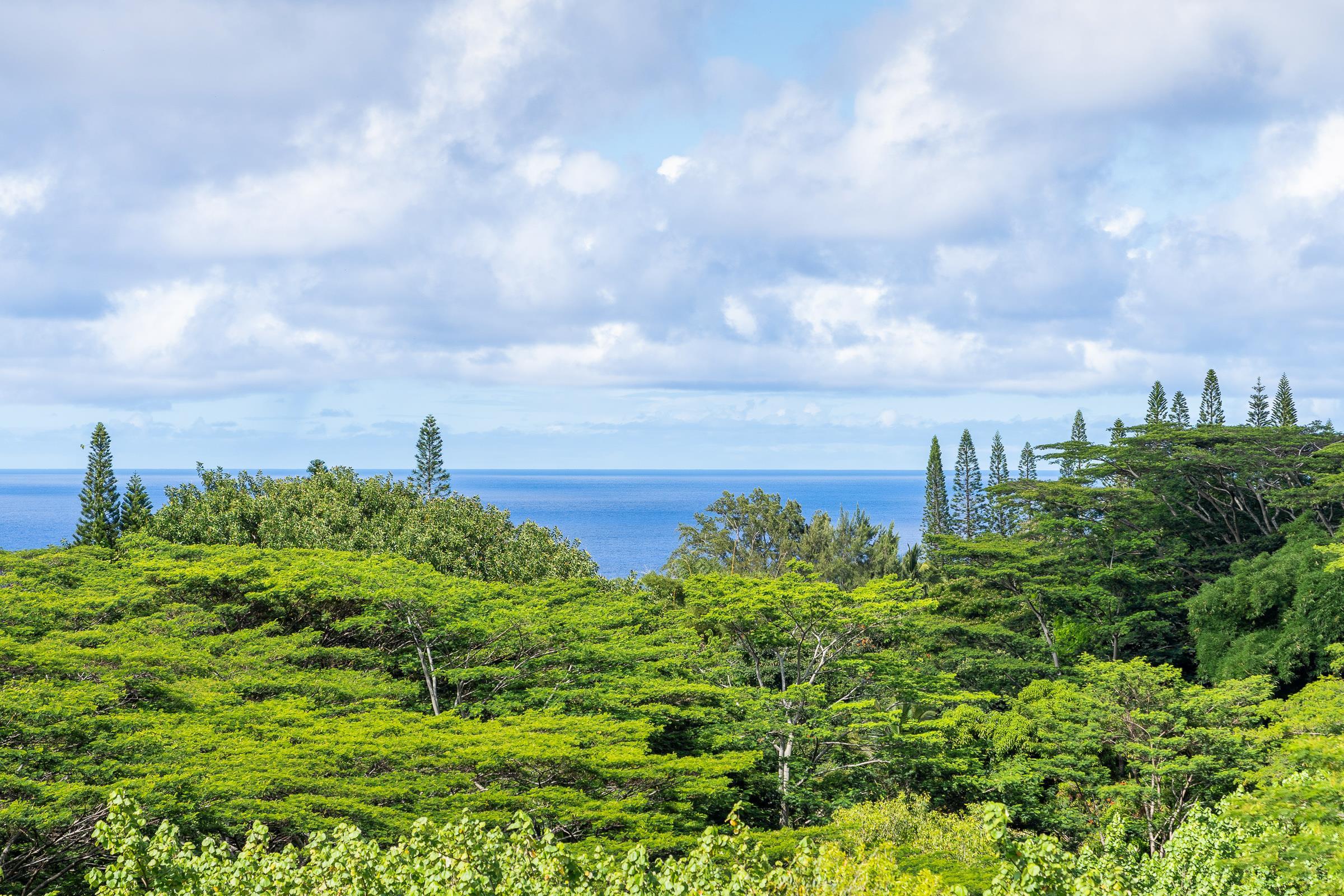 591 Ulalena Loop Haiku, HI 96708 - Photo 3 of 30