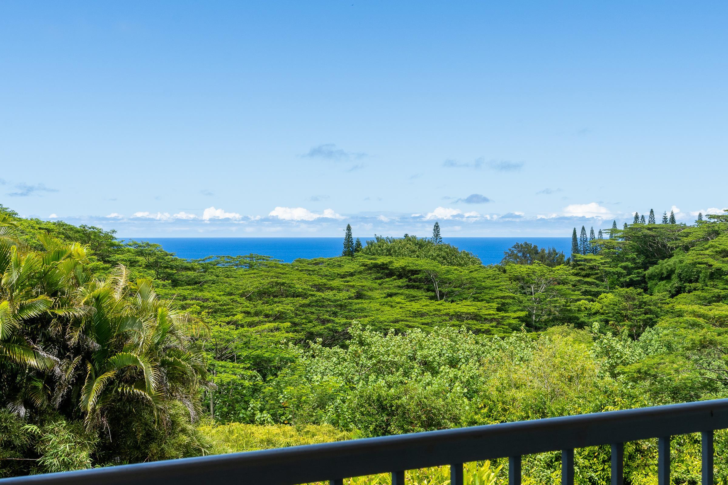 591 Ulalena Loop Haiku, HI 96708 - Photo 9 of 30