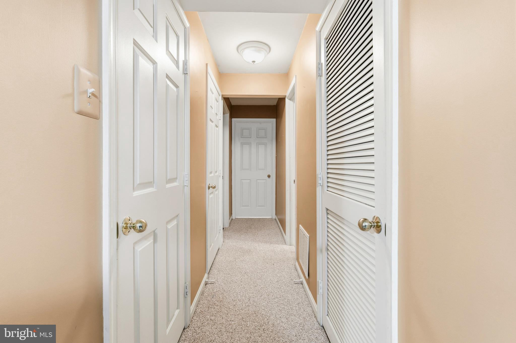 6518 Milva Lane Springfield, VA 22150 - Photo 44 of 55 Convenient lower-level hallway with added storage