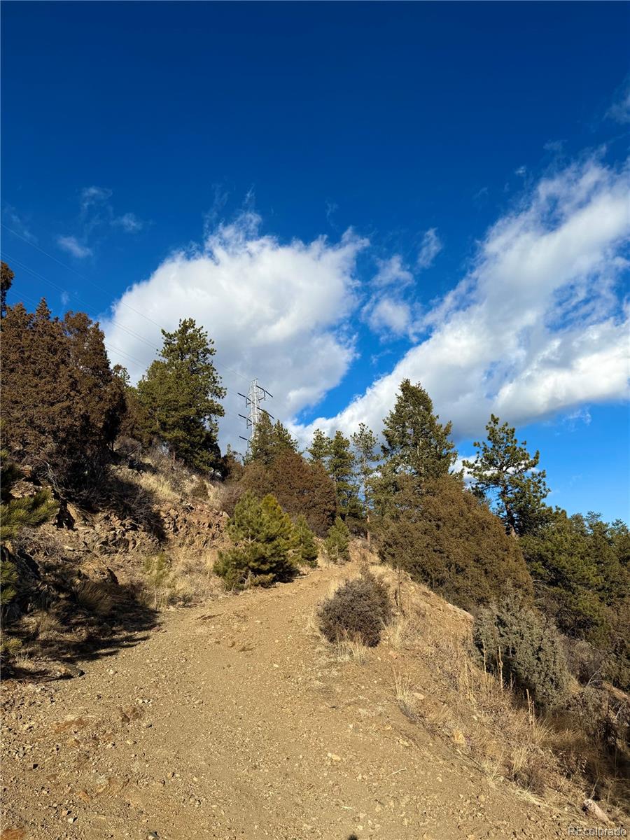 1961 Fools Gold Road Idaho Springs, CO 80452 - Photo 7 of 8
