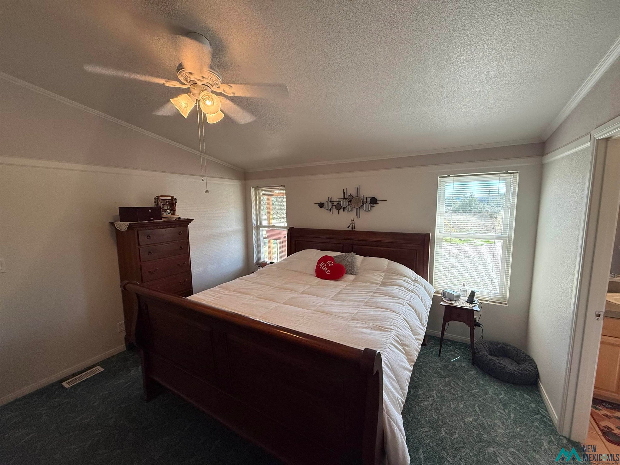 16 Overlook Road Los Ojos, NM 87551 - Photo 23 of 39 Gallery Image 23