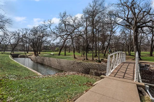 a view of a park with large trees