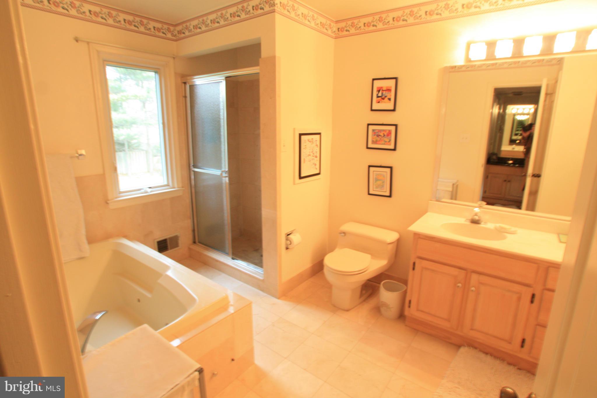9604 Persimmon Tree Road Potomac, MD 20854 - Photo 16 of 23 Bath (Master)