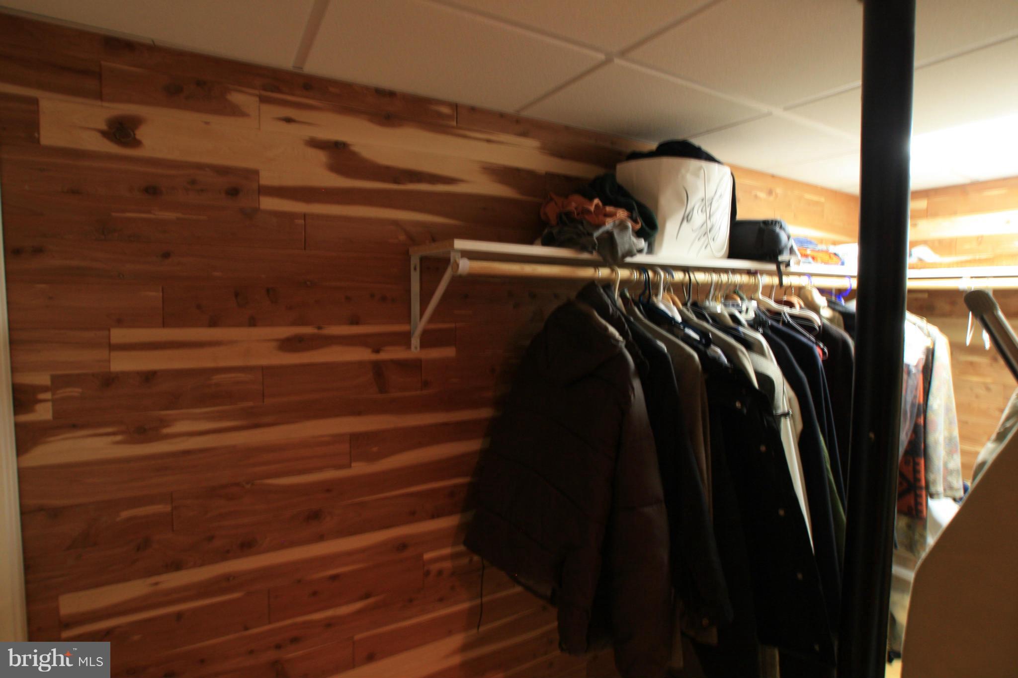 9604 Persimmon Tree Road Potomac, MD 20854 - Photo 21 of 23 Cedar Closet