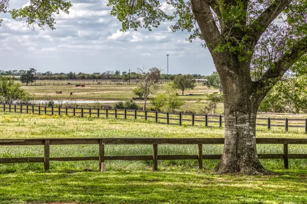 a house that has a tree in front of it