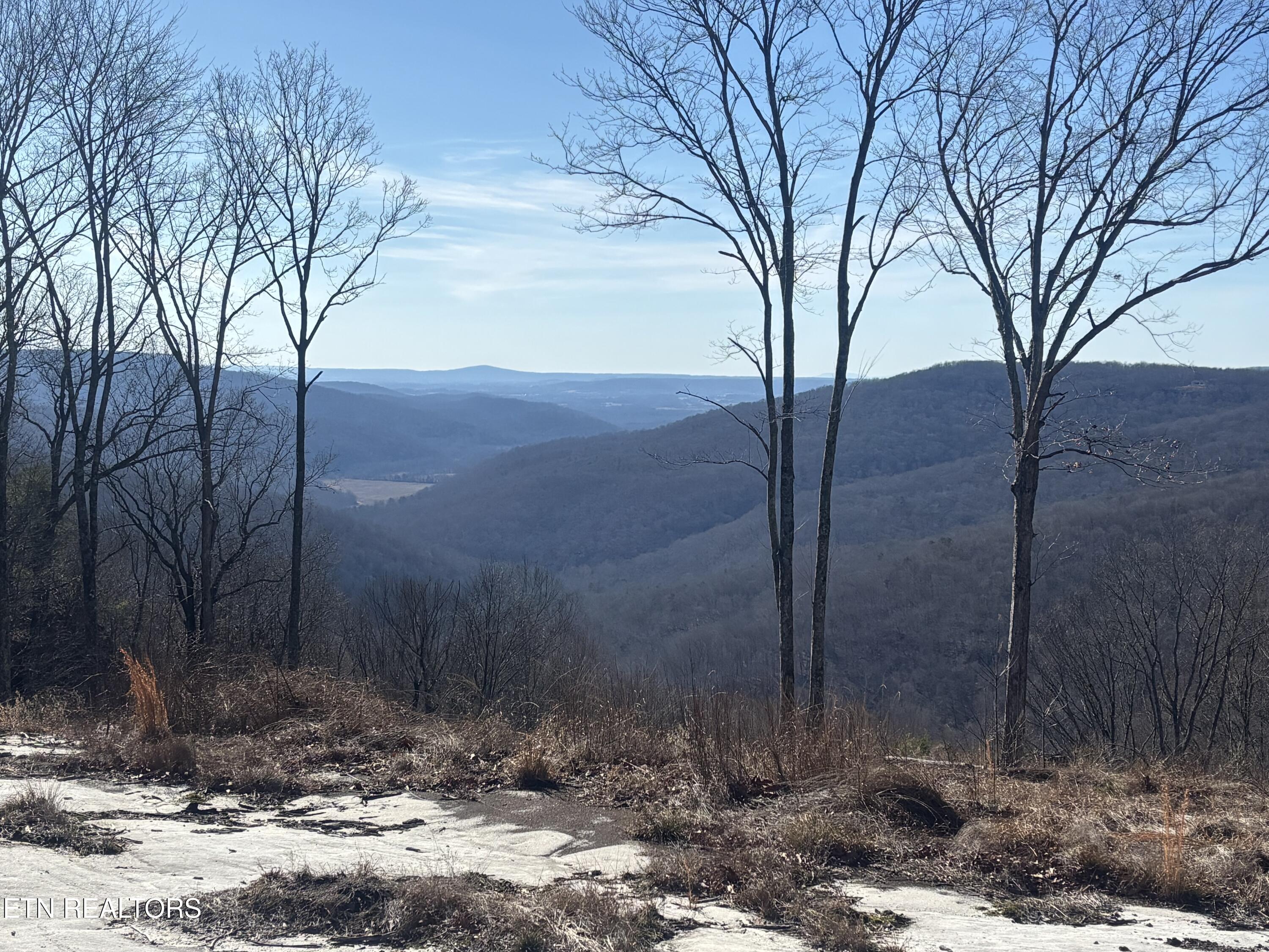 1560 East Overlook Road Monterey, TN 38574 - Photo 2 of 11 IMG_2081