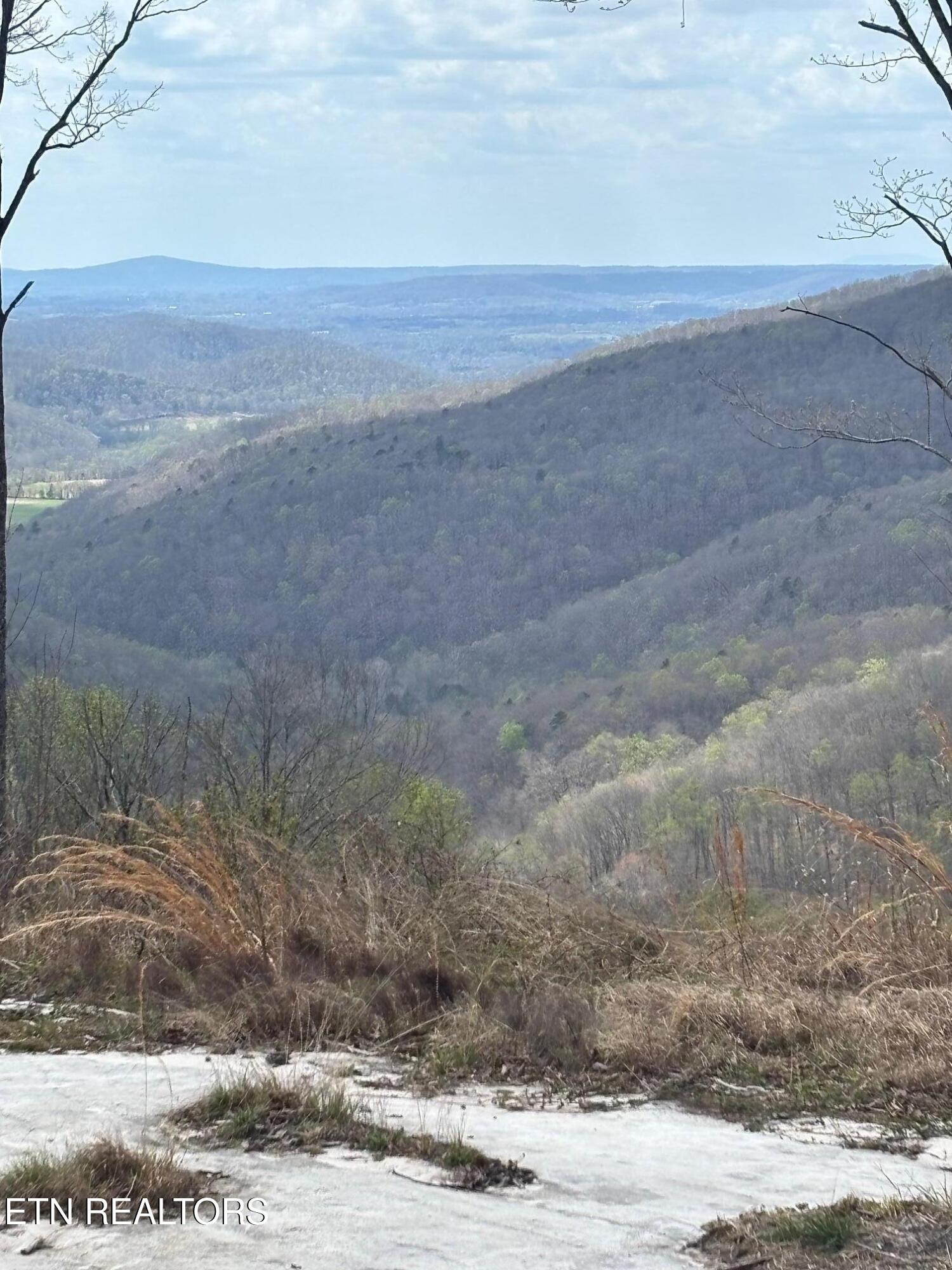 1560 East Overlook Road Monterey, TN 38574 - Photo 3 of 11 IMG_5551