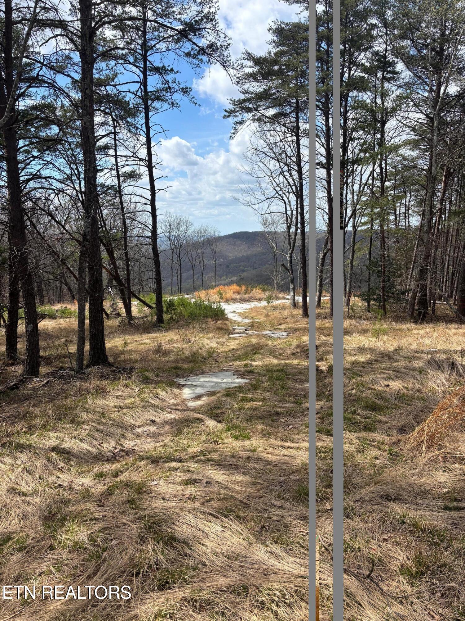 1560 East Overlook Road Monterey, TN 38574 - Photo 4 of 11 IMG_5549