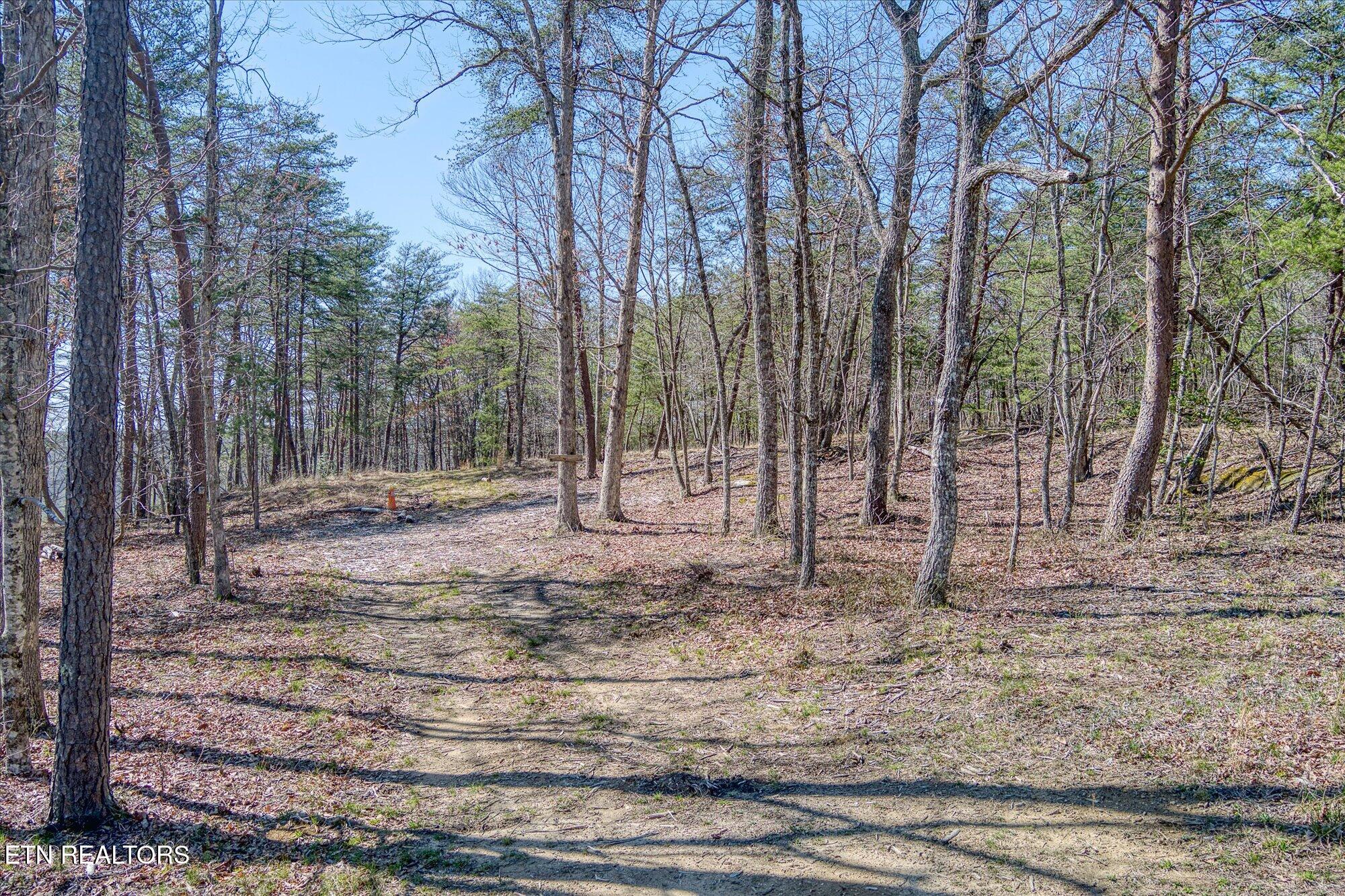 1560 East Overlook Road Monterey, TN 38574 - Photo 5 of 11 8-1560 E Overlook Rd_TNPC_038