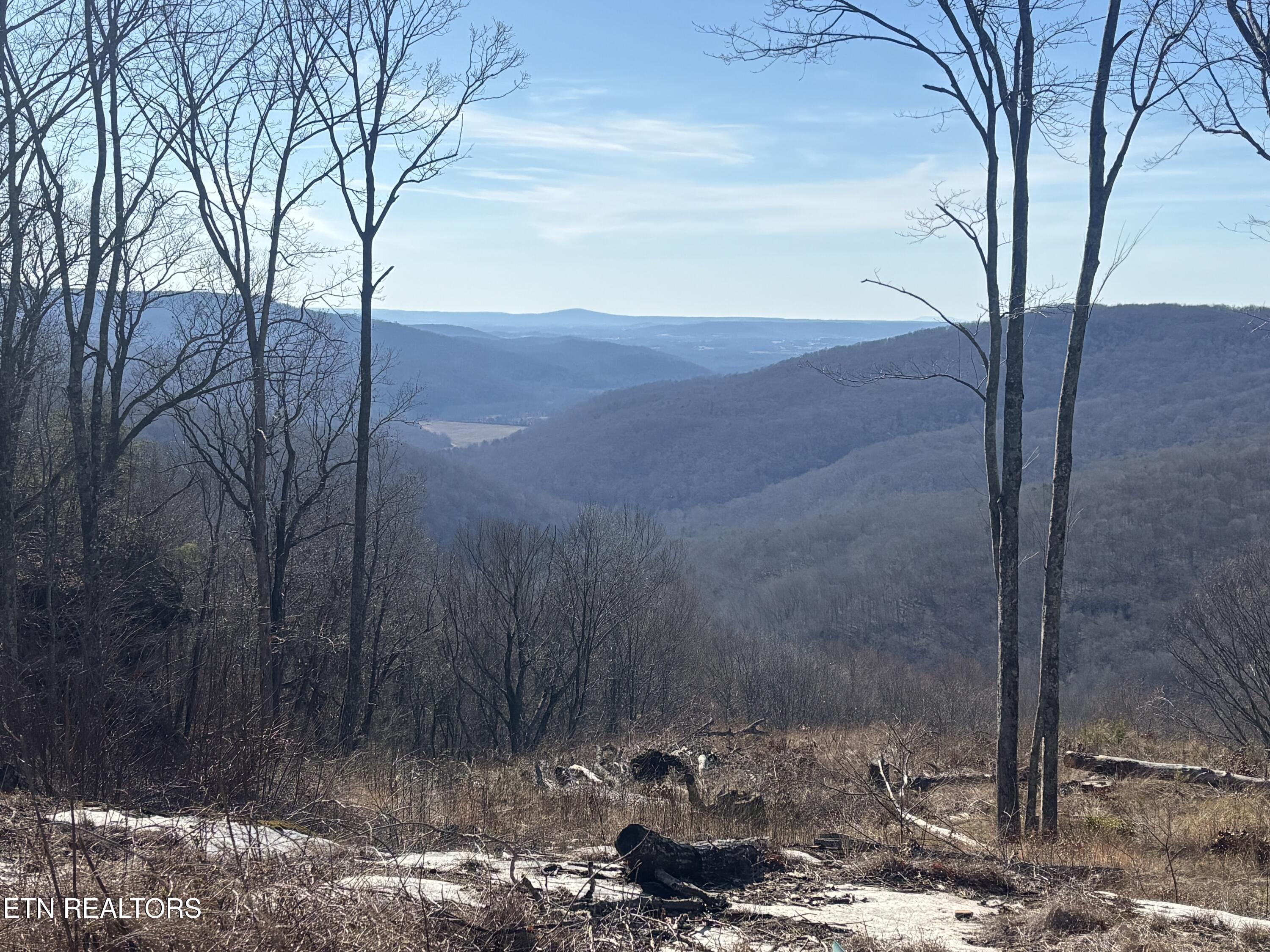 1560 East Overlook Road Monterey, TN 38574 - Photo 6 of 11 IMG_2082