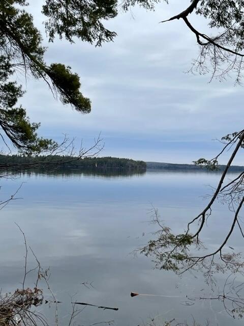 Pettinga-viewoflake