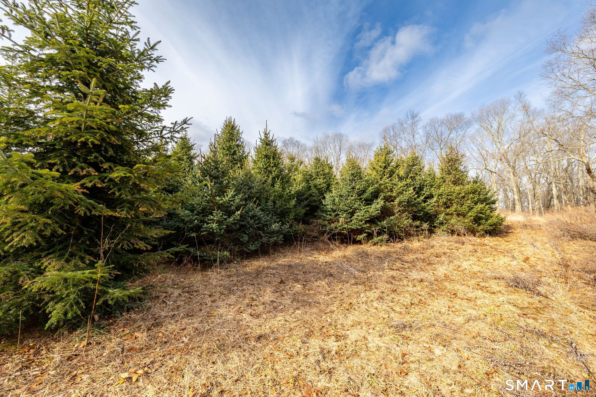 Gilead Street Hebron, CT 06248 - Photo 9 of 20