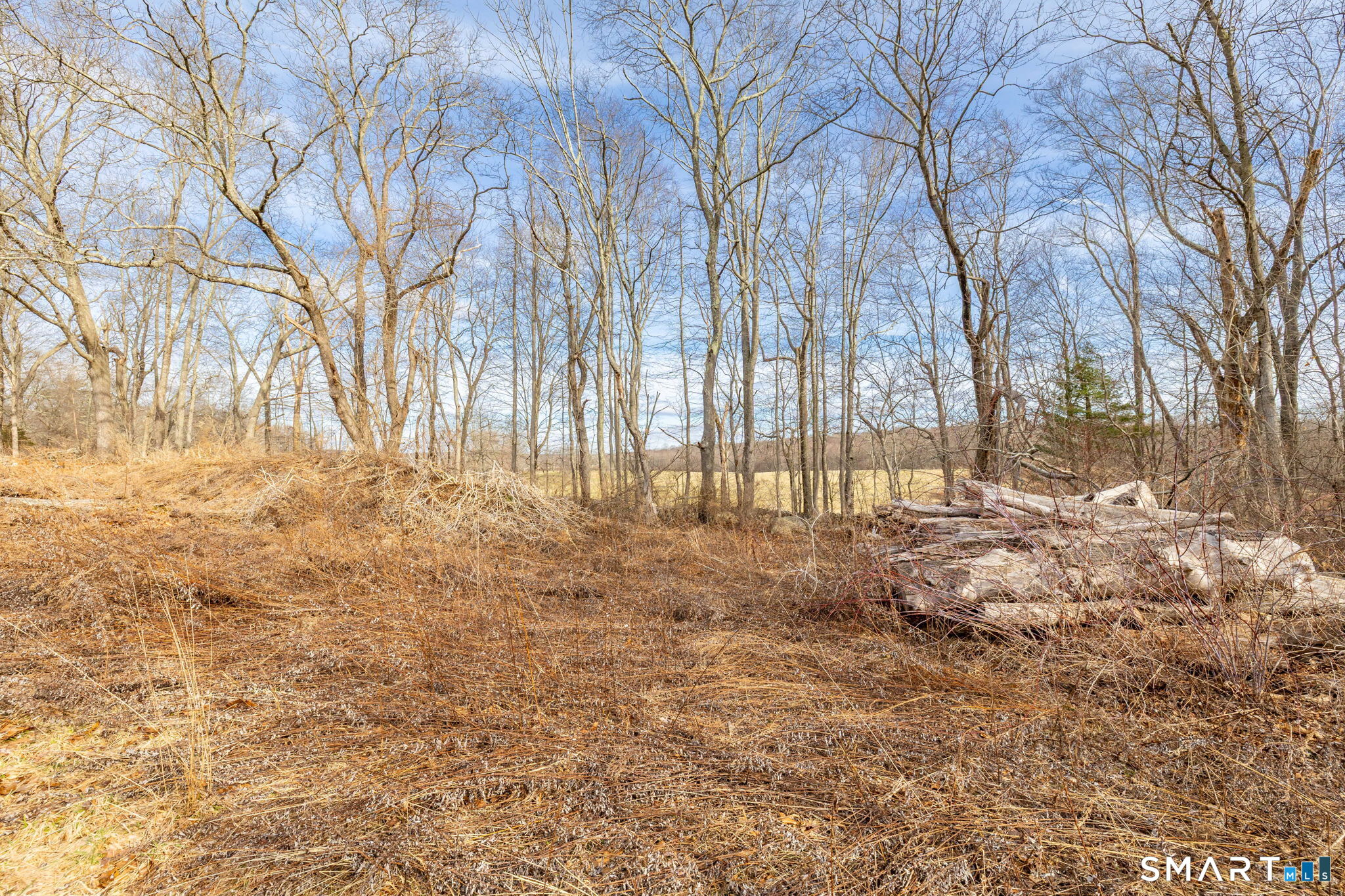 Gilead Street Hebron, CT 06248 - Photo 10 of 20