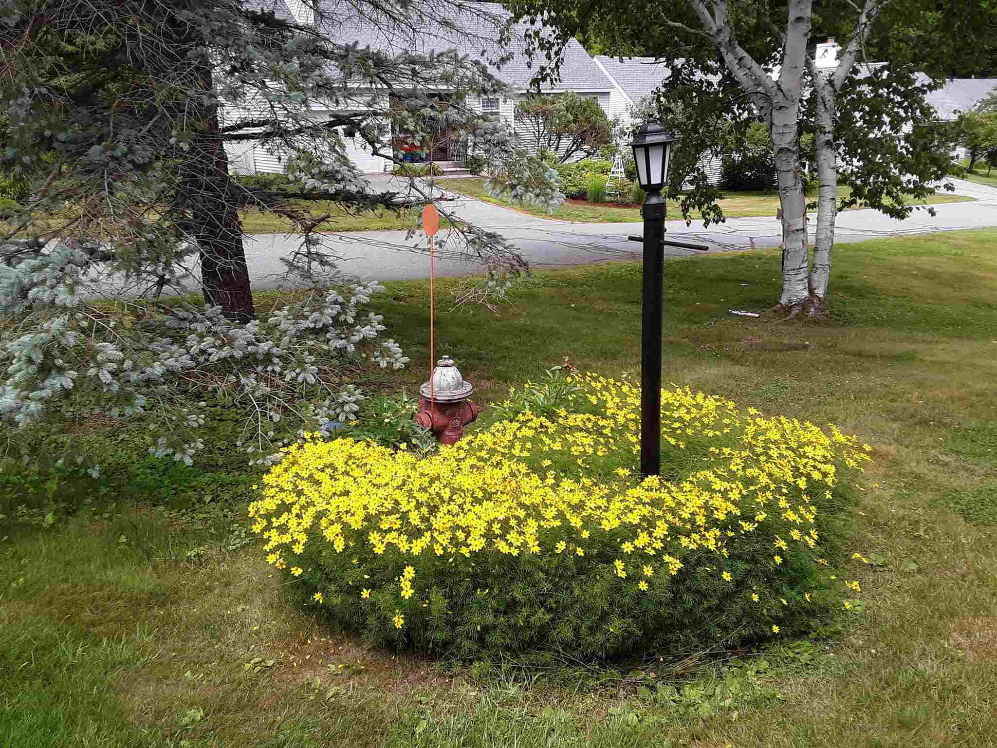 6 Oak Ridge Road, Unit 23 Lebanon, NH 03784 - Photo 3 of 40 Gallery Image 3