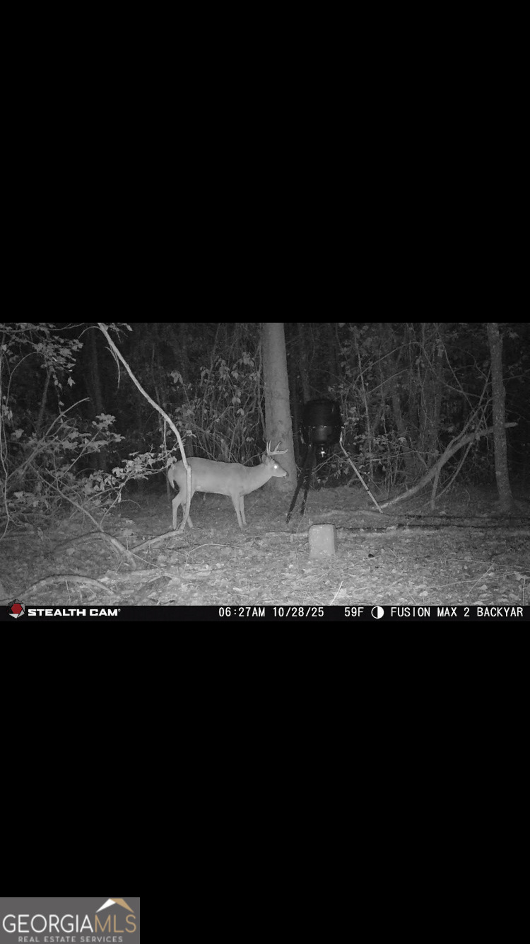 836 Kersey Road Elko, GA 31025 - Photo 60 of 61