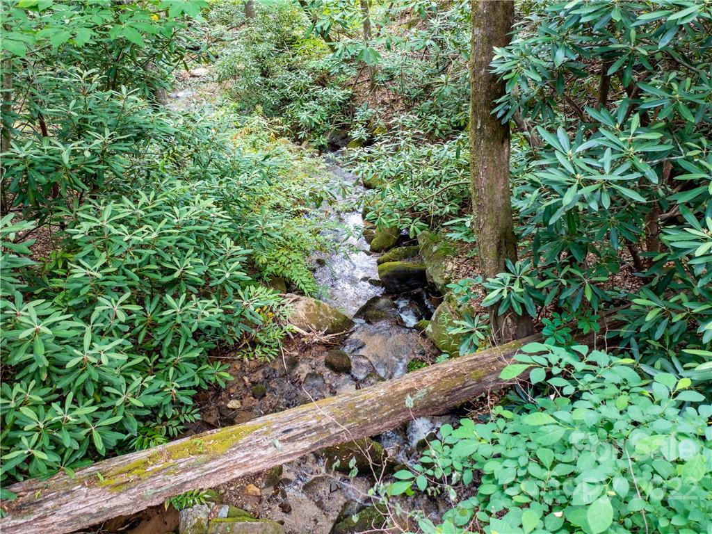 Lot 2072 Anthony Court Mill Spring, NC 28756 - Photo 12 of 17 a view of a garden with plants