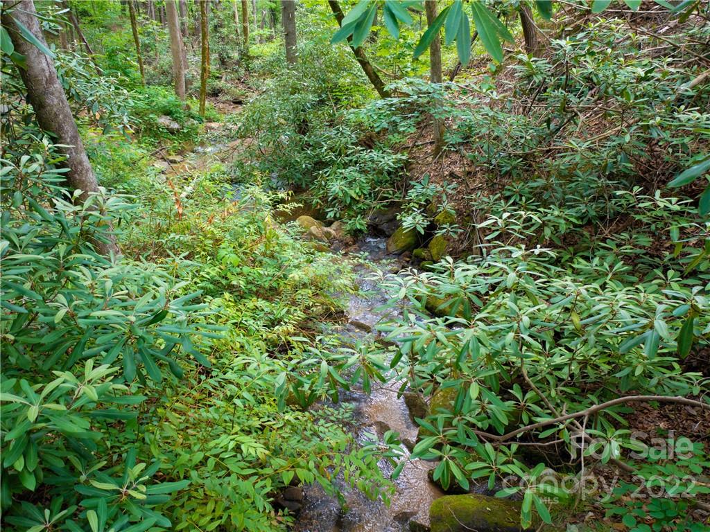 Lot 2072 Anthony Court Mill Spring, NC 28756 - Photo 13 of 17 a view of a lush green forest