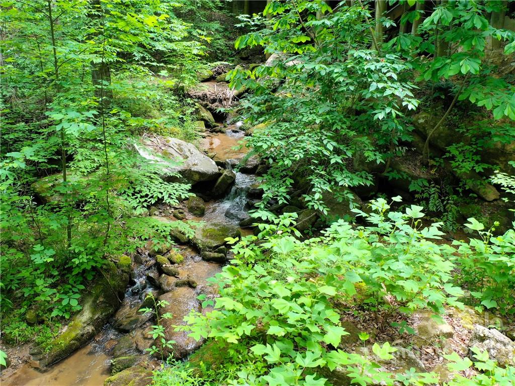 Lot 2072 Anthony Court Mill Spring, NC 28756 - Photo 14 of 17 a backyard of a house with lots of plants