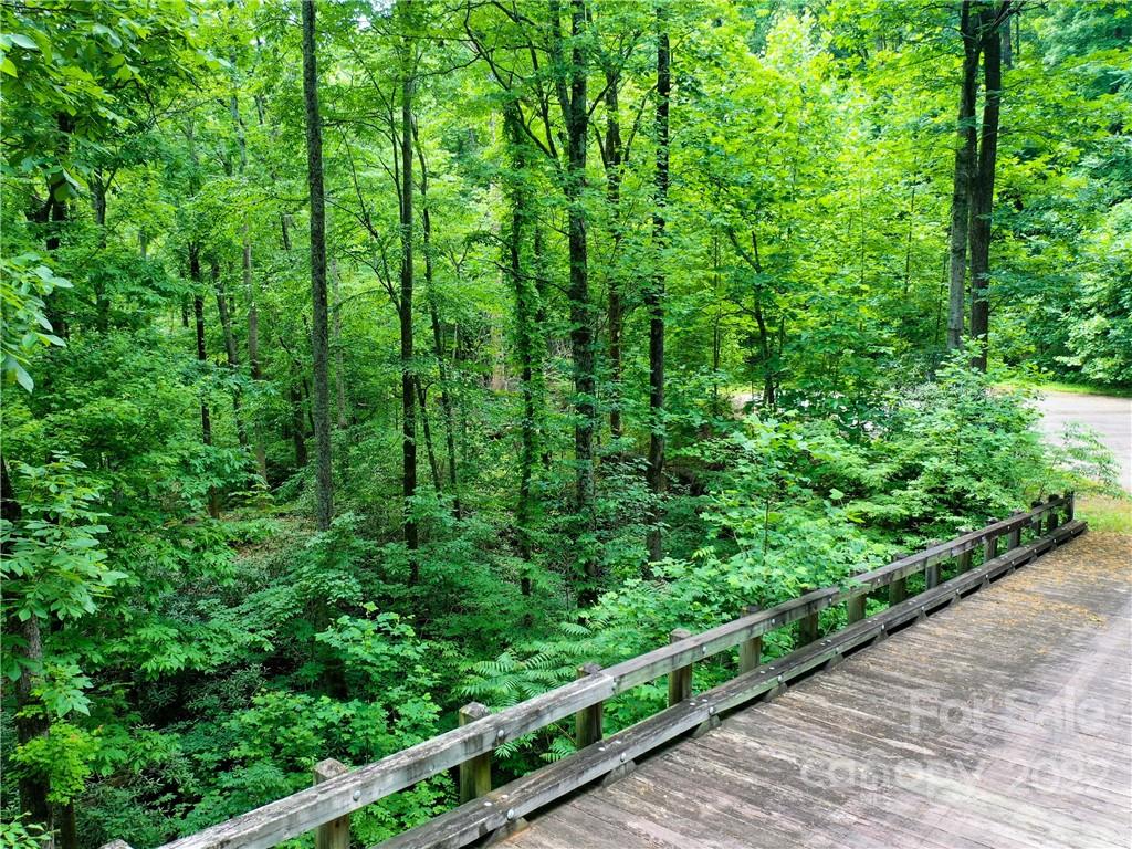 Lot 2072 Anthony Court Mill Spring, NC 28756 - Photo 16 of 17 a view of a garden with plants